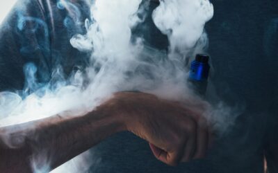 Comparaison des e-liquides premium : Twelve Monkeys vs Dinner Lady