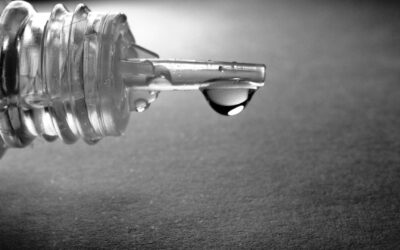 Comparatif des e-liquides mentholés : Halo vs VDLV, lequel procure la meilleure sensation de fraîcheur ?